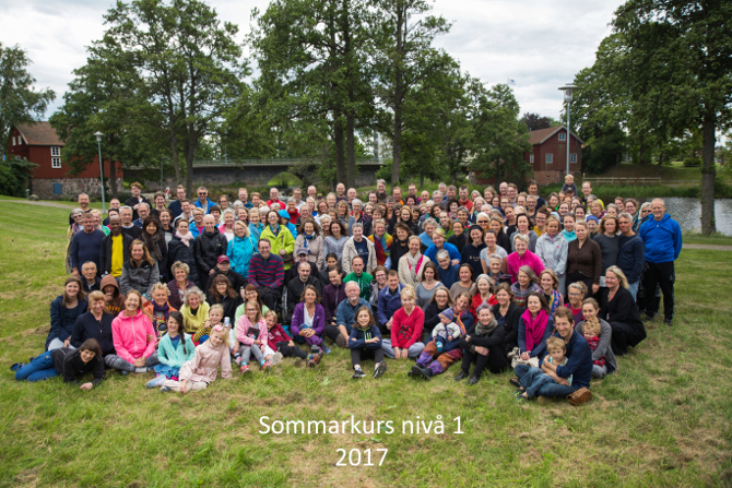 2017 summer course one