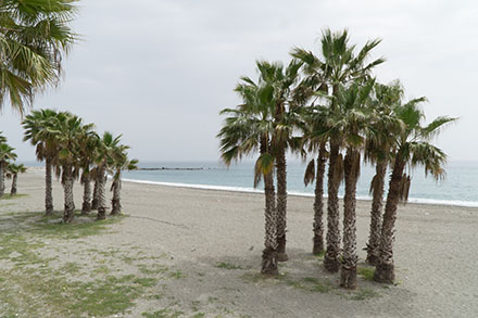 2018 spanien strand 440