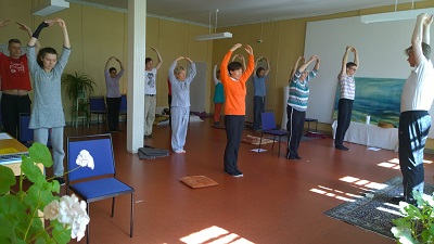 Hold qi up Leppola 2016