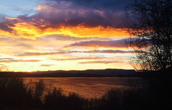 More energy and peace of mind