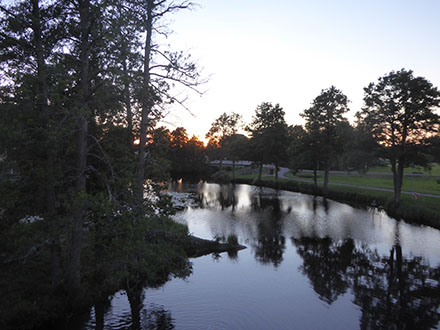 nossebro nossan qigong qigongkurs sommarkurs 2018
