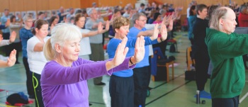 Training Shenxin Qigong at the Winter Course 2011 in Bollnäs