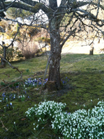 Kvinnherad HQU April 2010 Natur