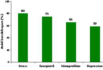 Sommarkurs 2007 ett resultat svensk