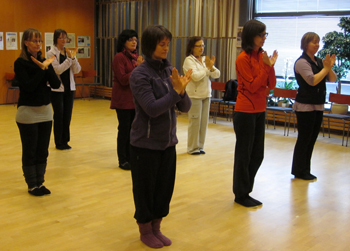 Vasa 20120205 bild 2