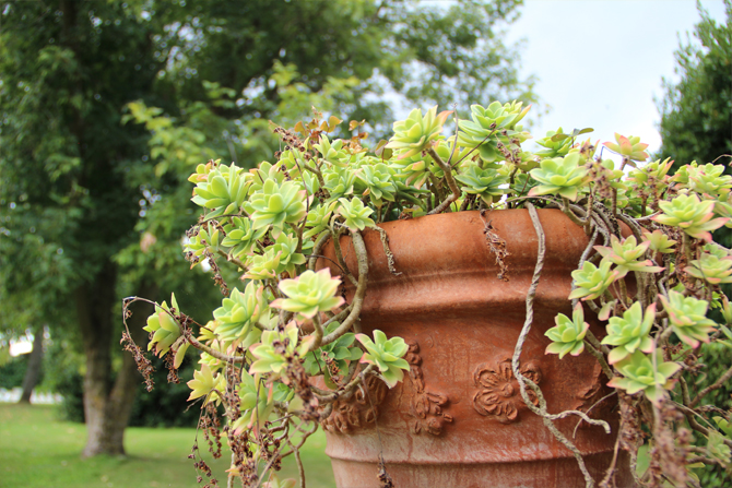 Toscana Traning 2016 4